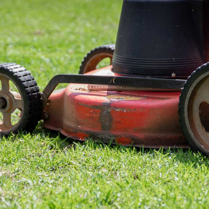 Lawn Mower and Lawn Tractor Replacement Batteries