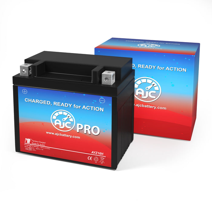 Exide 14-BS Powersports Pro Replacement Battery