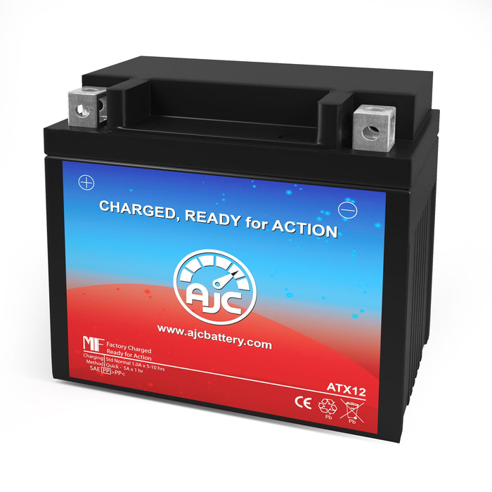 SYM RV 250 250CC Scooter and Moped Replacement Battery