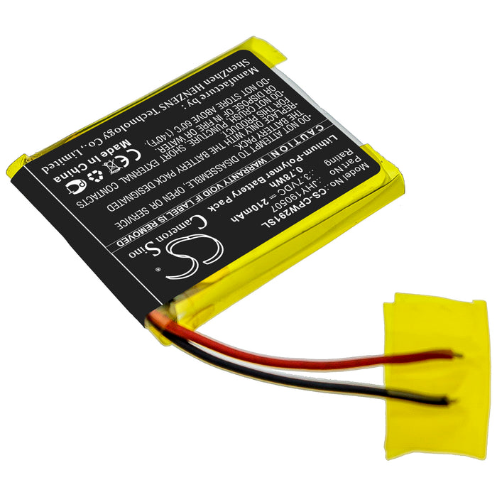 Compustar 2W901R-SS Remote Control Replacement Battery-2